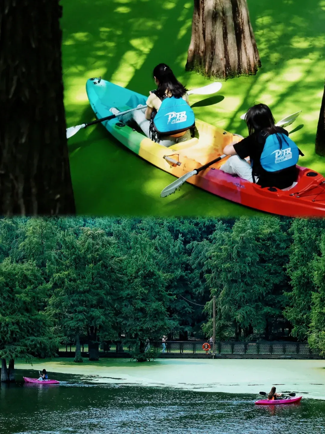 fd2675d997cddb890b961027a881bf58-sz_3111722