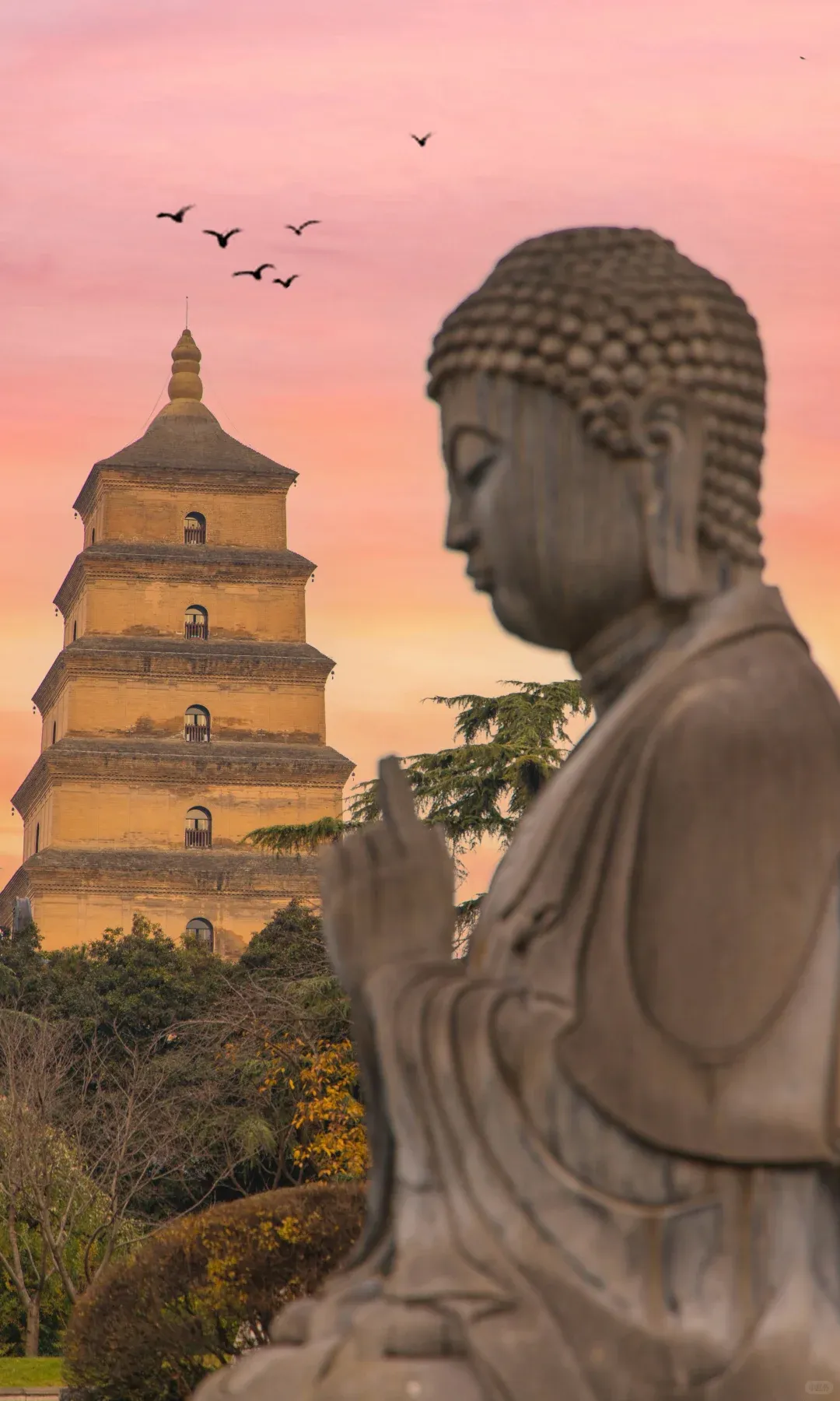 fe03ac1a95452999622995bb316d8cf9-sz_1613518