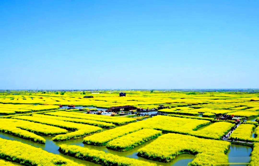 fe2fed96e21e15a4f6dd9a5b8f536535-sz_667500-1