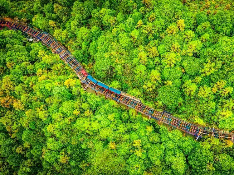 fe5f070743ae0709118e472e72aea09b-sz_3405744 fe5f070743ae0709118e472e72aea09b-sz_3405744