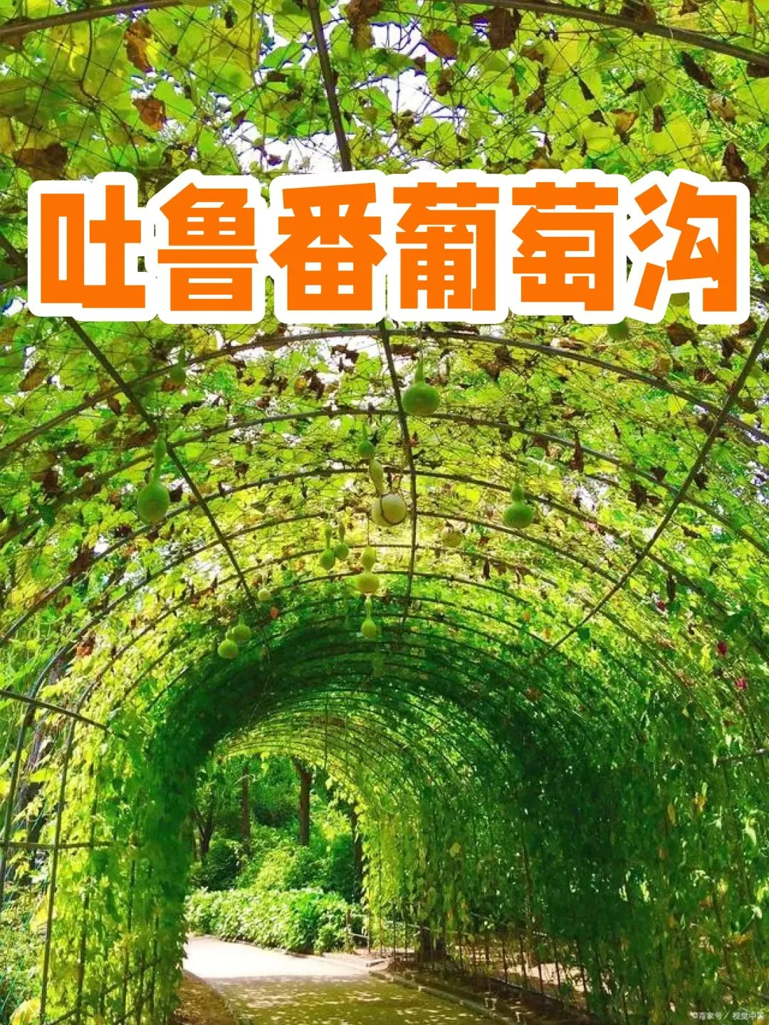 fe616e32cf016a8b7ca8a2dac7abedcf-sz_3419077