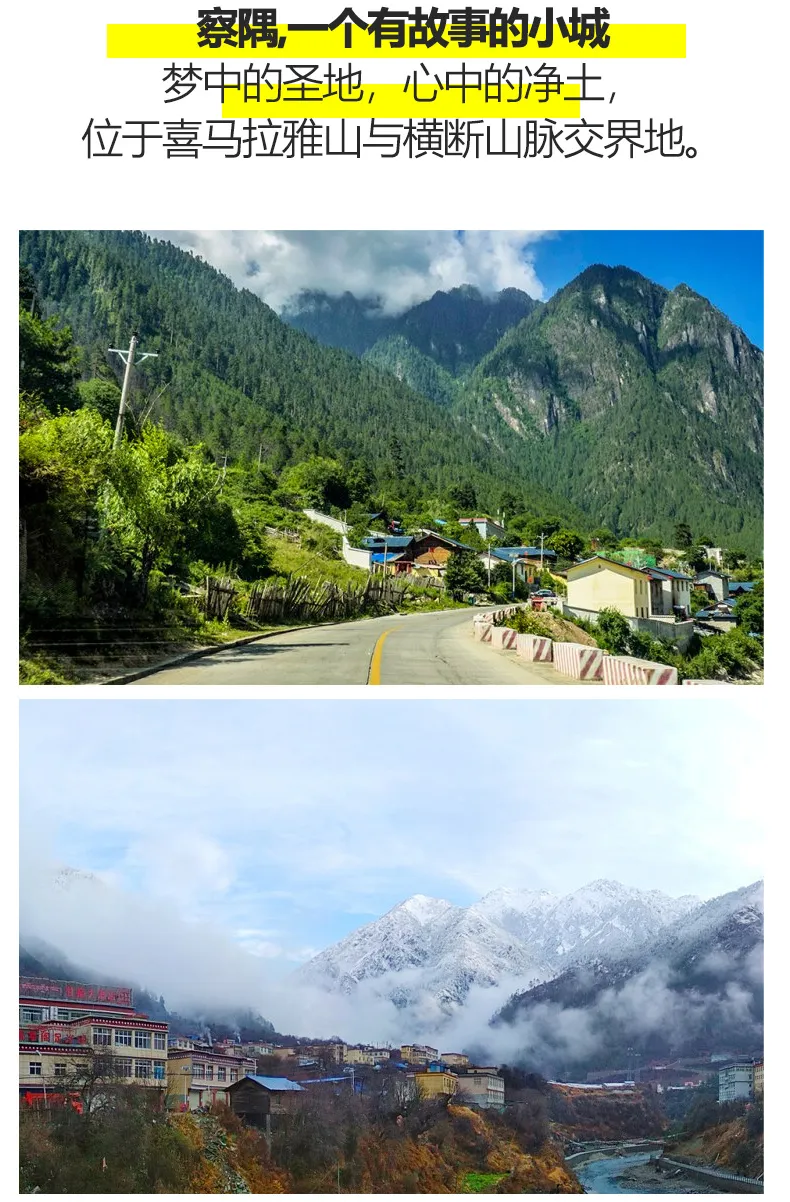 feb31792ed217d9a8f4984110cc2955b-sz_443054