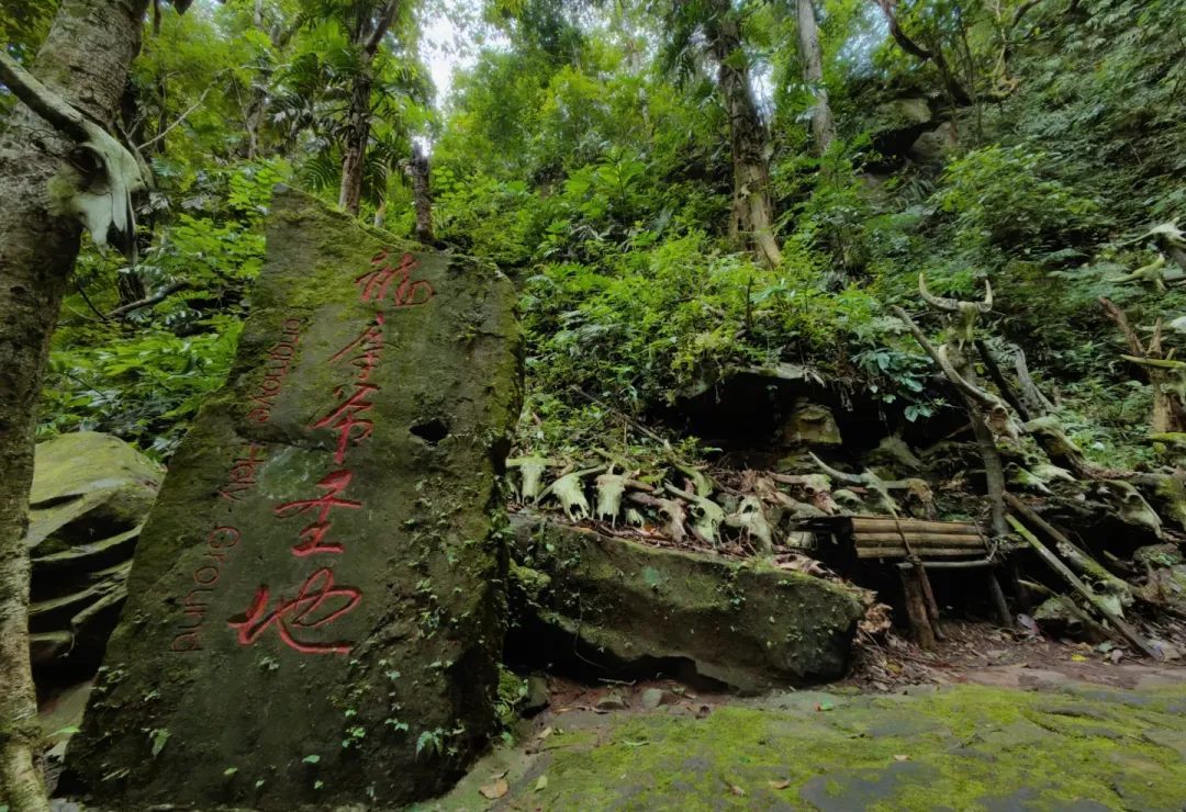 fec6d7c8a2e51b681c353b5b4631c347-sz_2996996