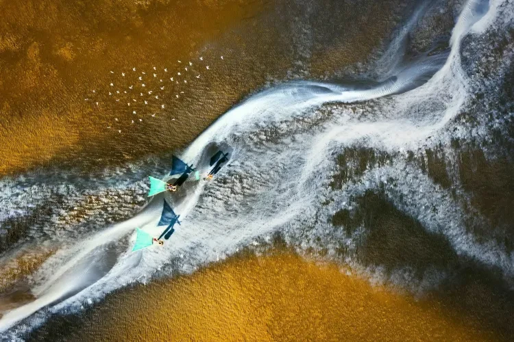 fecb5ecb0c8c64d82439ed35cc6d30a5-sz_987451