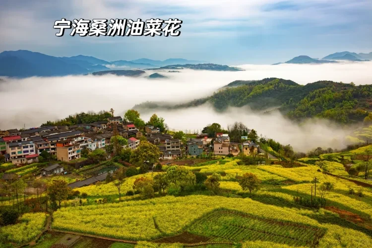 fedaa5ed73e4827402886ab96faa46cc-sz_3439880