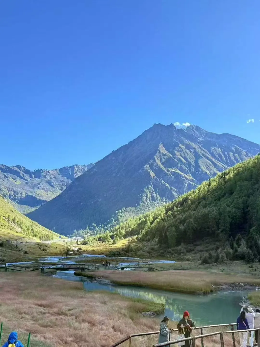 ff1666c80b715fea710c48f8ec3b7317-sz_2193874-1 ff1666c80b715fea710c48f8ec3b7317-sz_2193874-1