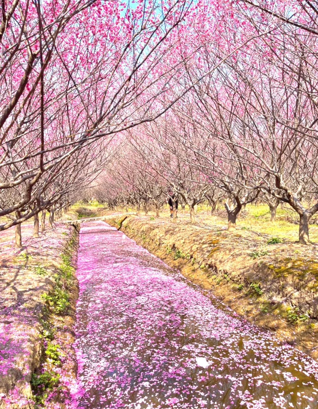 ff488f0bc6c9fb61e582e1e2d611567d-sz_2294188