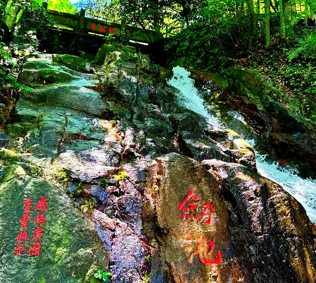 ff9186262cee972ebe01fc442b0e3297-sz_5318199