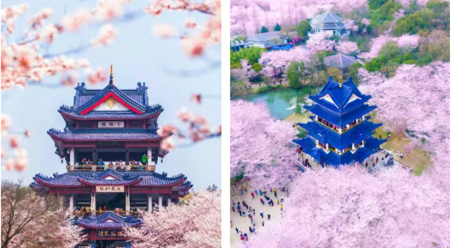 fff52a85631202ef863fd1ecc2d96035