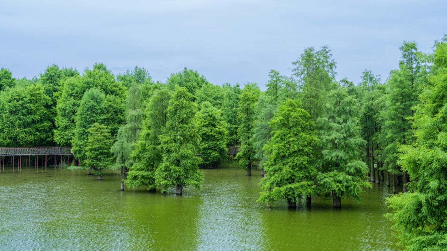 u33104529953943538542fm253fmtautoapp120fJPEG