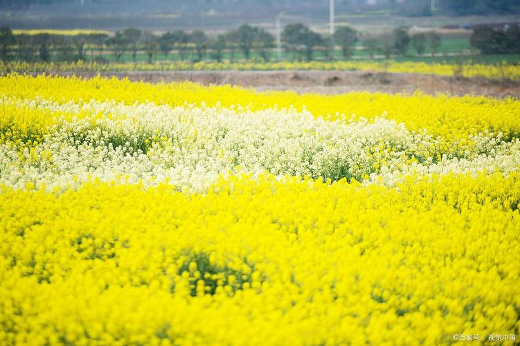 u37428894782080216657fm253fmtautoapp138fJPEG