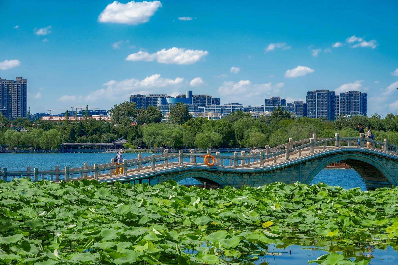 00000000AcYZaDMlvZCNXCEi