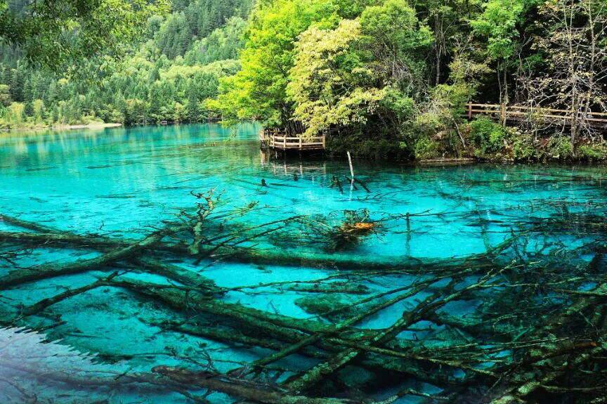 00000000BIOaxfNVqFhNUzWH