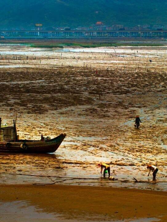 00000000BnxDZAOnFYaDMMkn