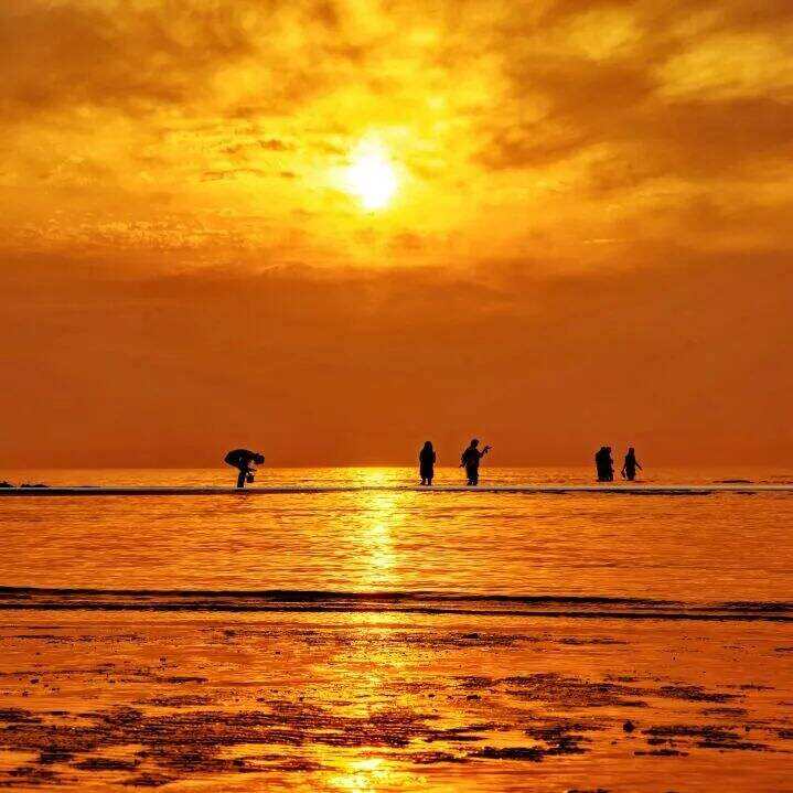 00000000CIkDCUuXeVzDzcfo