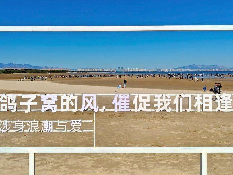 00000000CVMXtLppwqIFbjqT