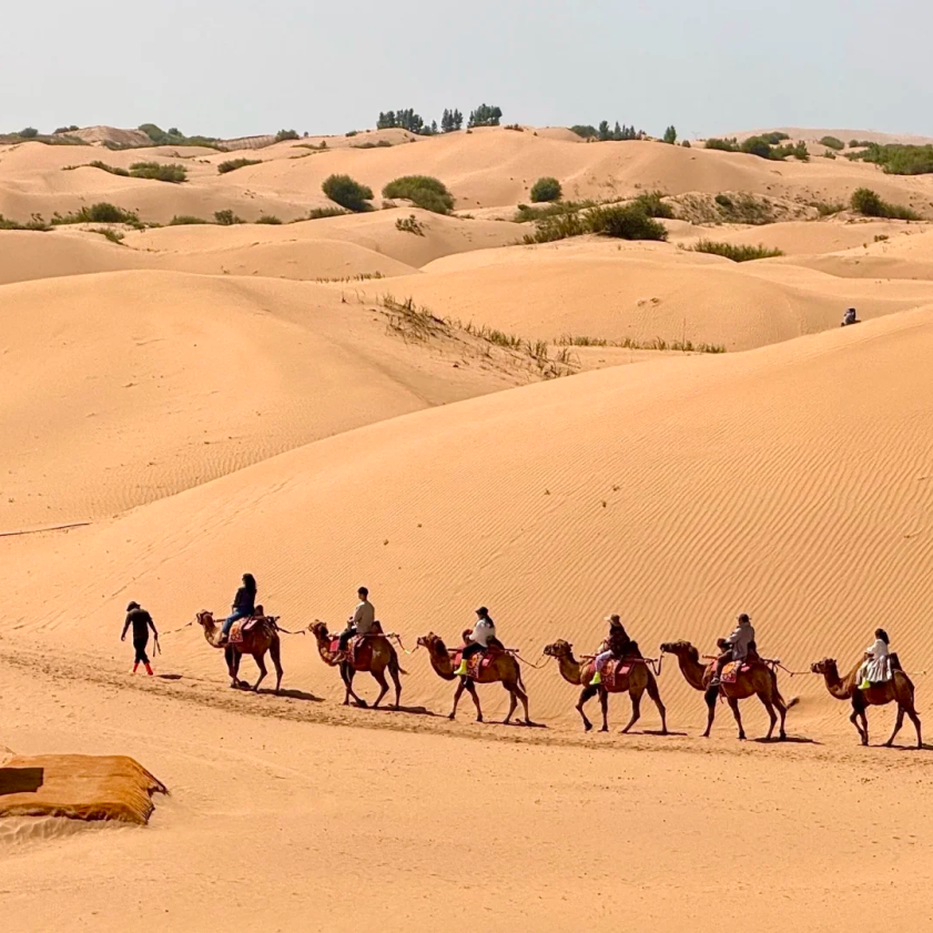 00000000CcnQqaMTWFQUgNym