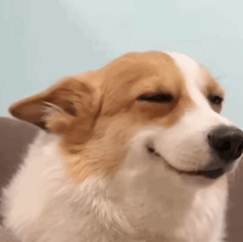 00000000CnmPtVcRrjFyeuPr