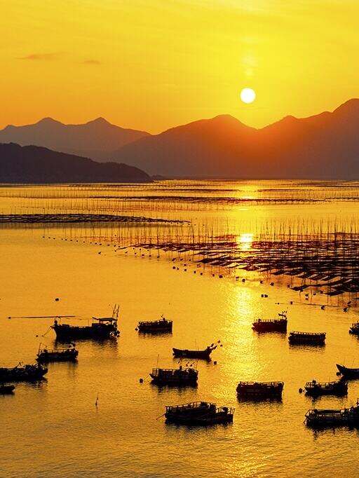 00000000CuYJstXGKenfJUPz