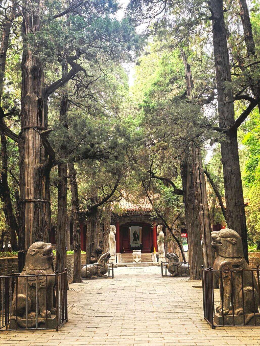 00000000DrmvNmWfIgpBfuKm