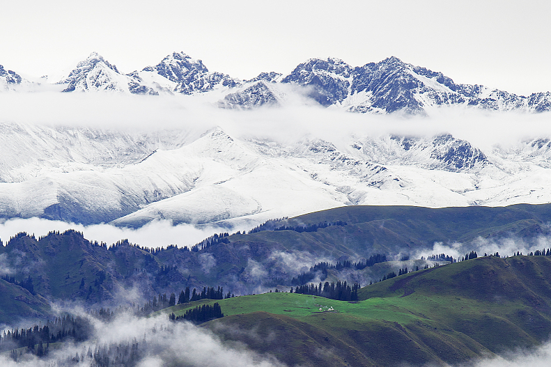 00000000FWrgwwDPxlEcstyW