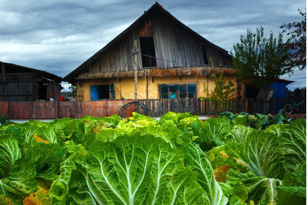 00000000FinMjRjkAElvcaLW