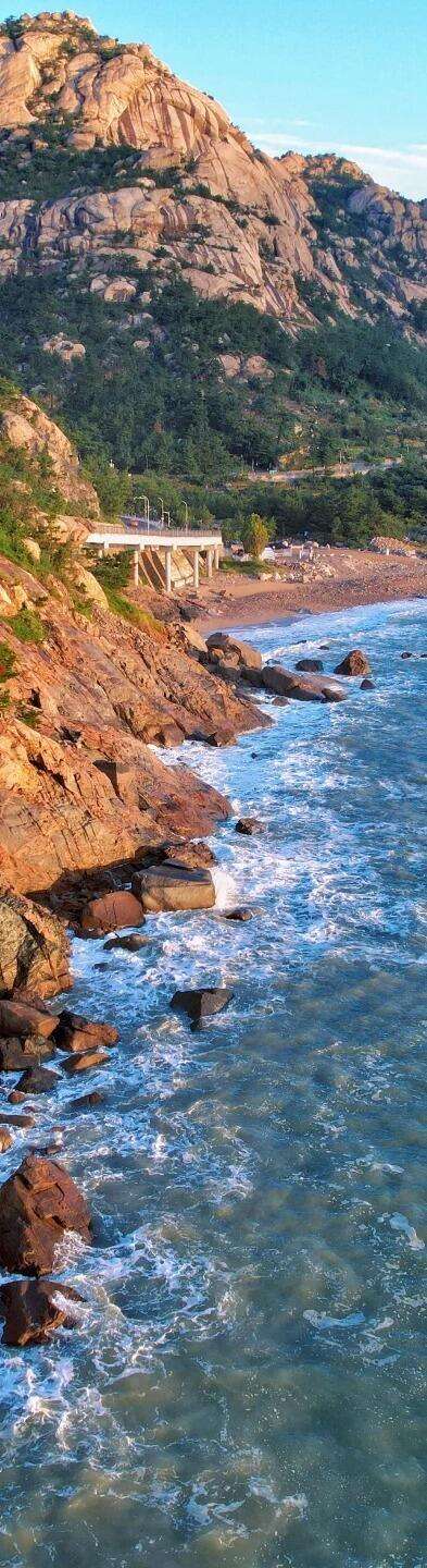 00000000GRibSctcFCYbVtZp