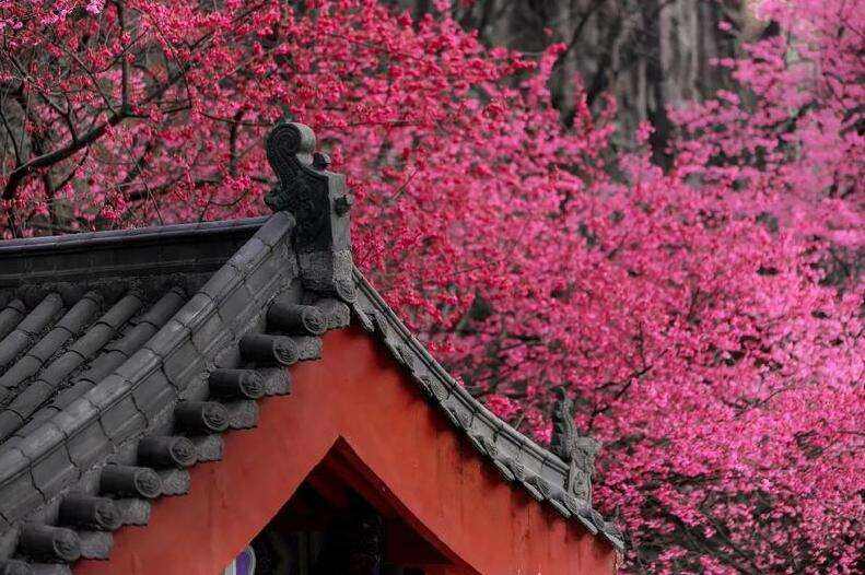 00000000ICONKYKDrlGxvjTa