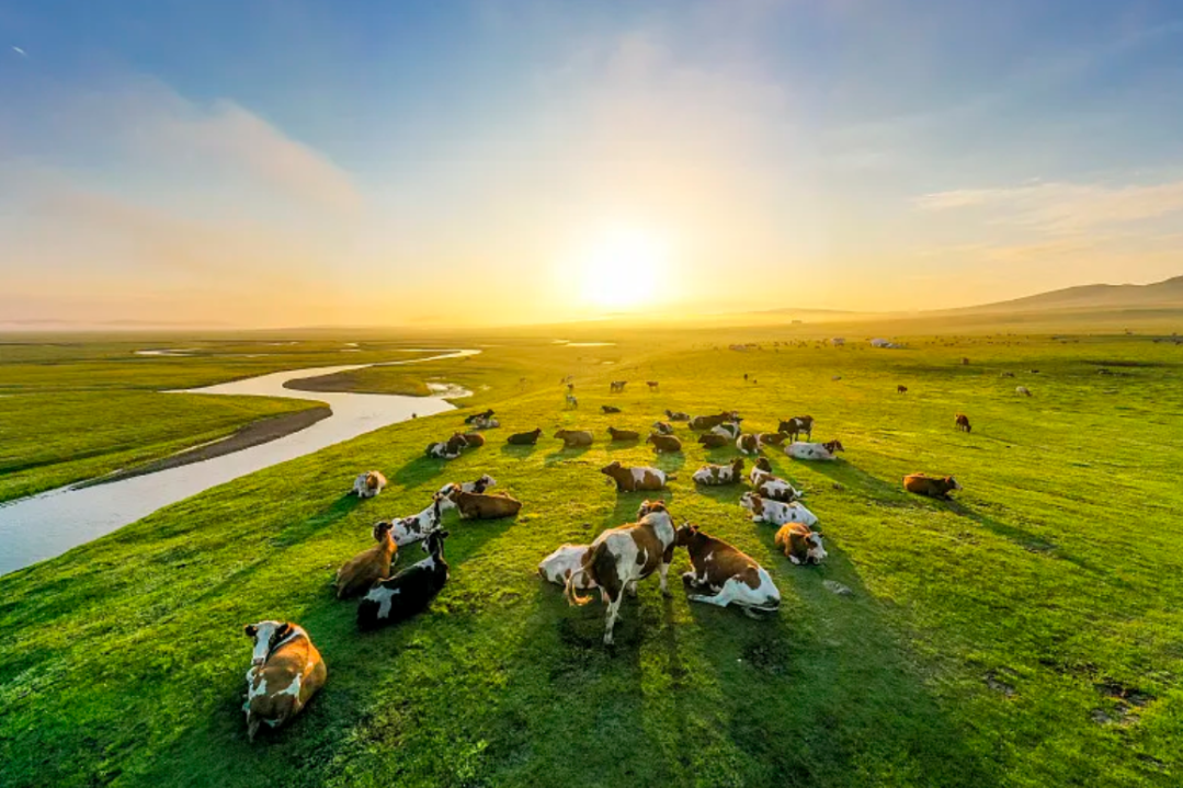 00000000JmPaGkTelLBanbZa