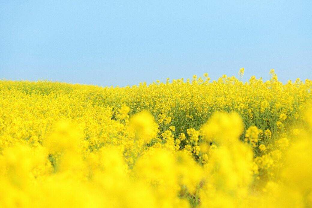 00000000JrcxUvcBusWTRZxo