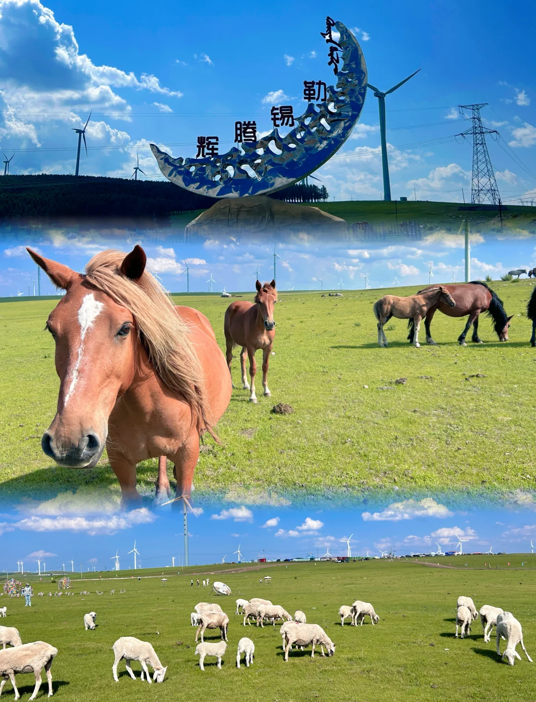 00000000JyVCNMKKjISmWVhx