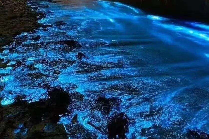 00000000KKcUJDaxxARuChVT