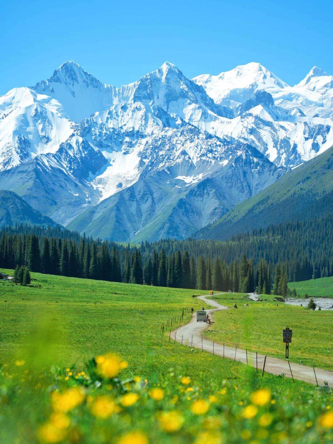 00000000KrfeNrfkHdIzGimw