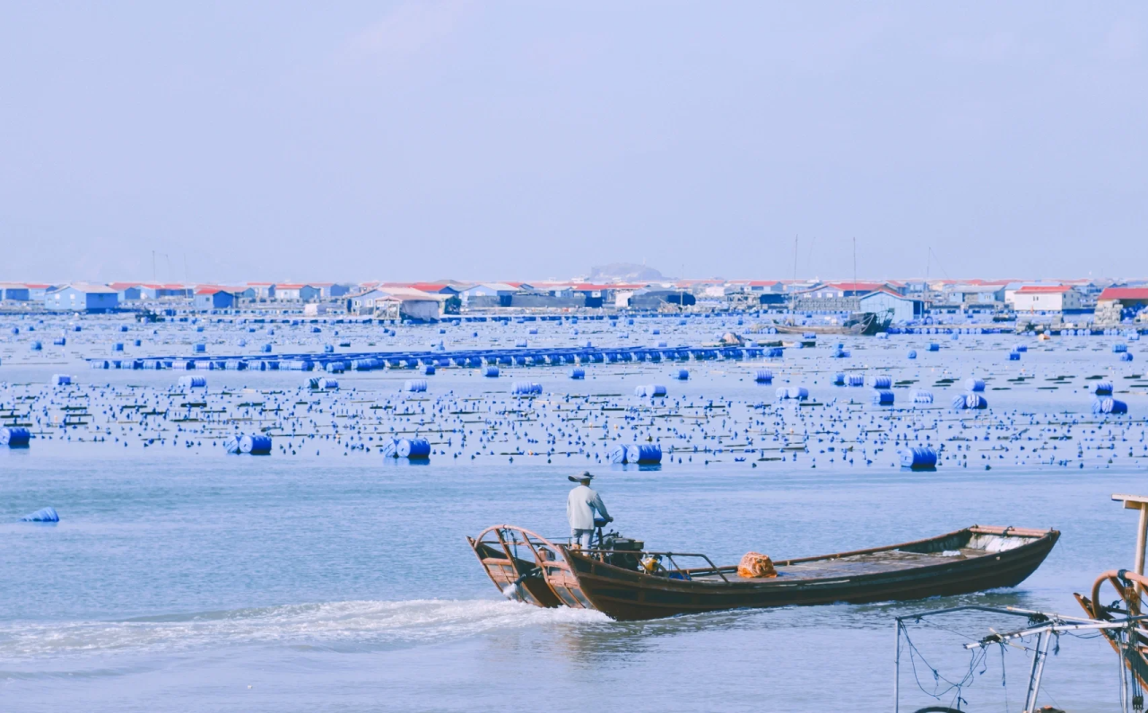 00000000LNzvRBHwVniwupQz