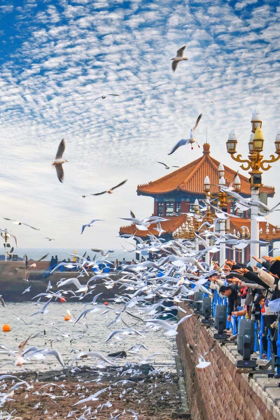 00000000MafghYIacqlyvrJh