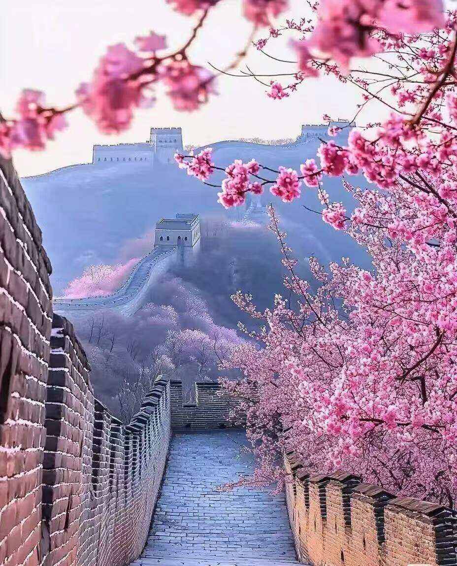 00000000MwkuDiGaqNuGWHdk