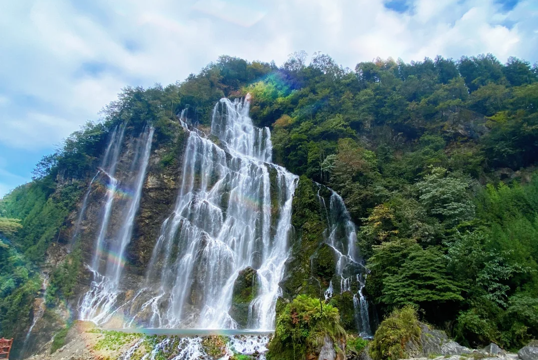 00000000OOiZMZelBccfvmfX