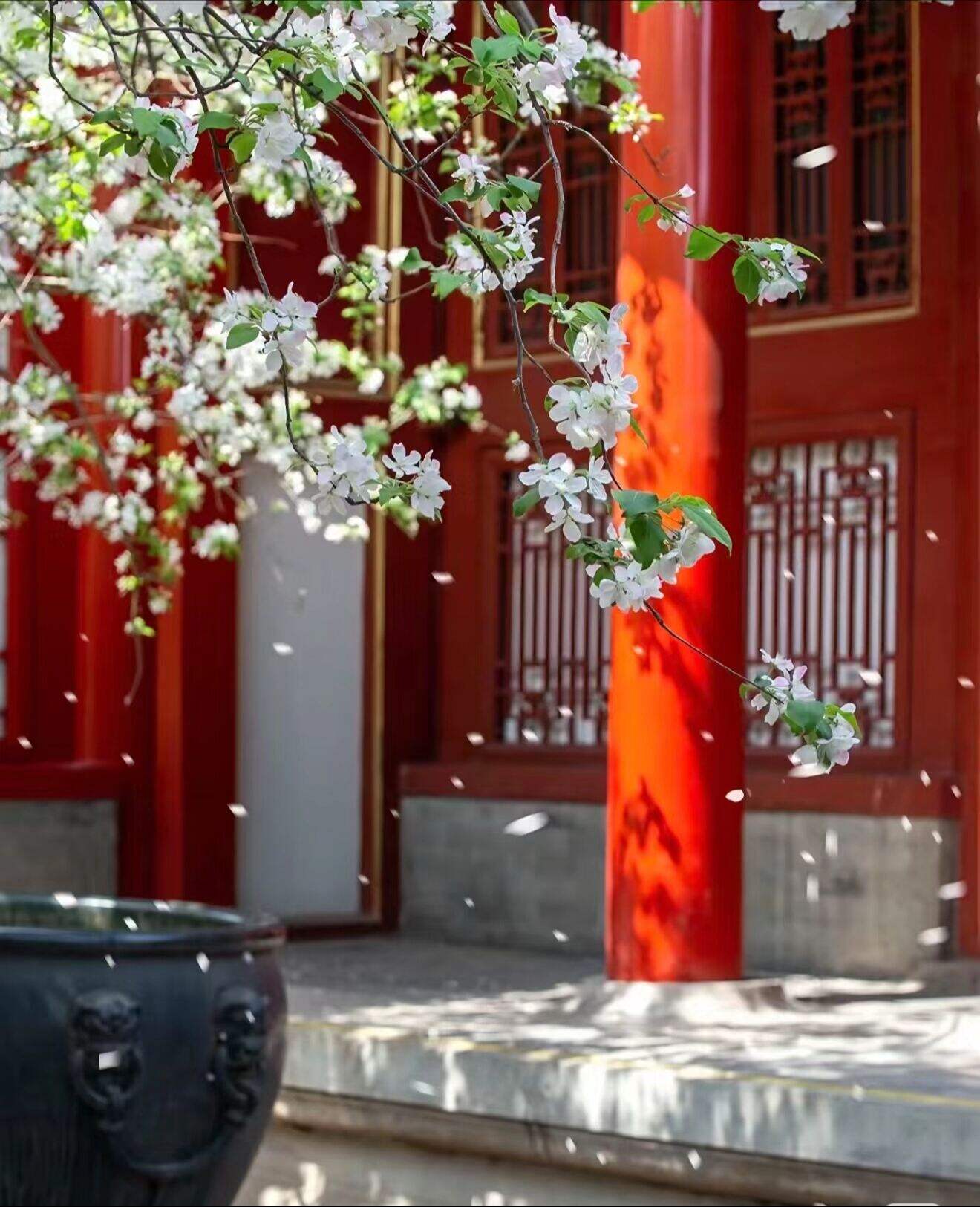 00000000OPtKFswlmETcYXFO