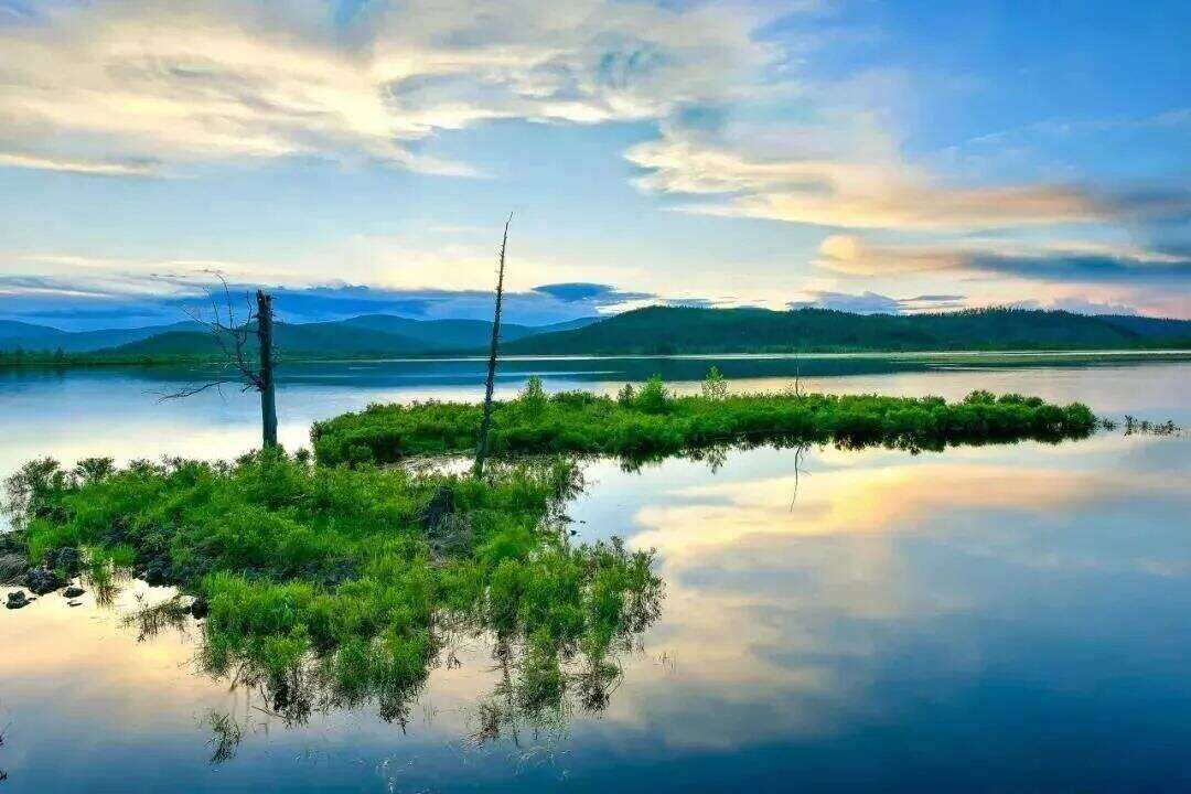 00000000OegCdmANQSiihiJl