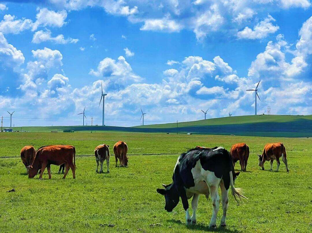 00000000PIogedbikRKGwgcQ