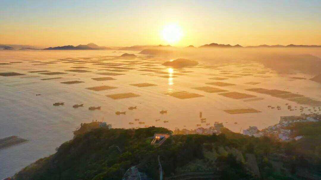 00000000PelqPFvlZHDAHogy