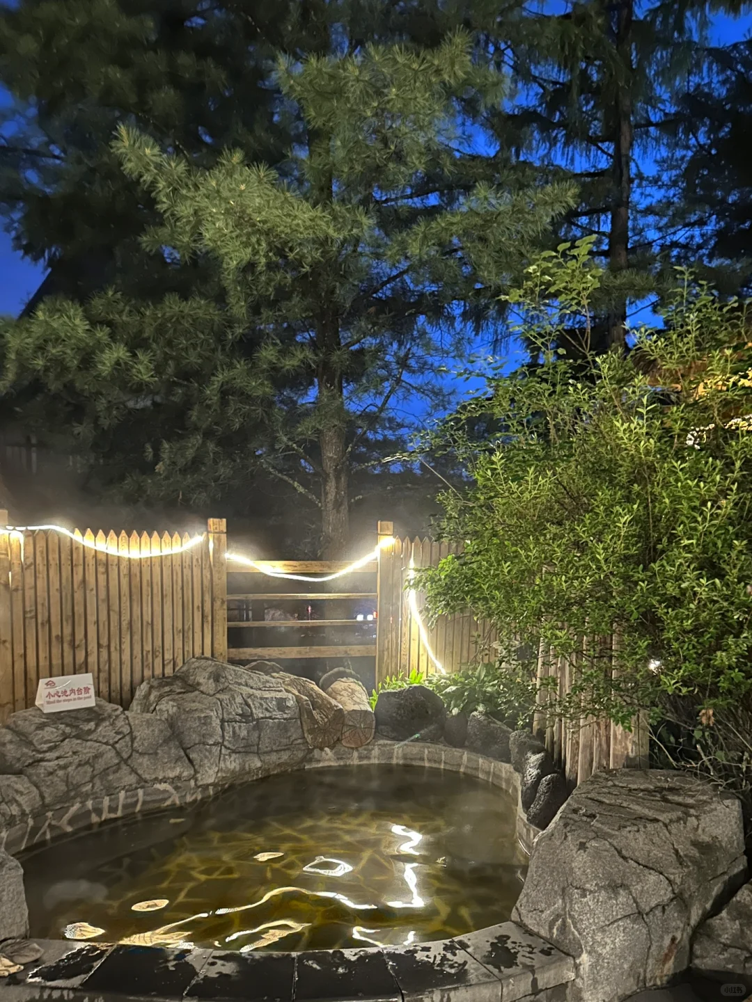 00000000QUotdJuPBUMFETgV