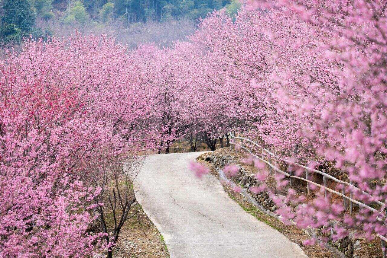 00000000QeRNwLypNTgvDpGb