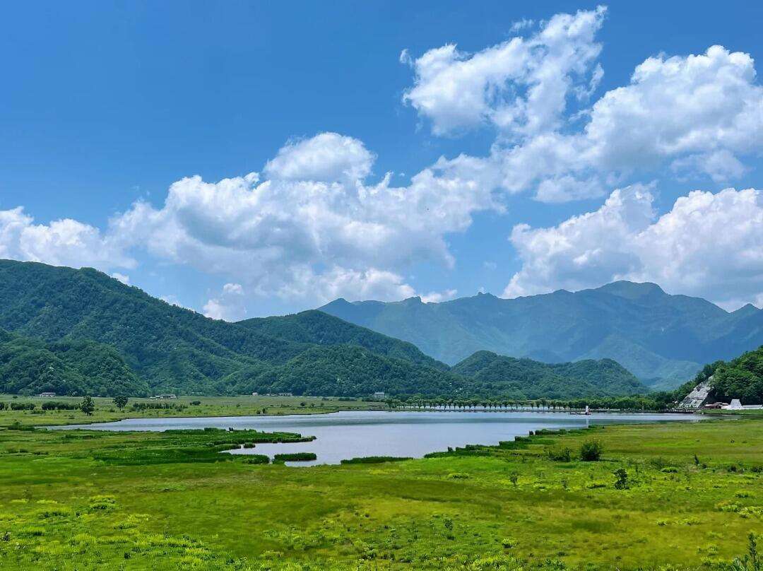 00000000QnnCYhYMcXneKIzJ