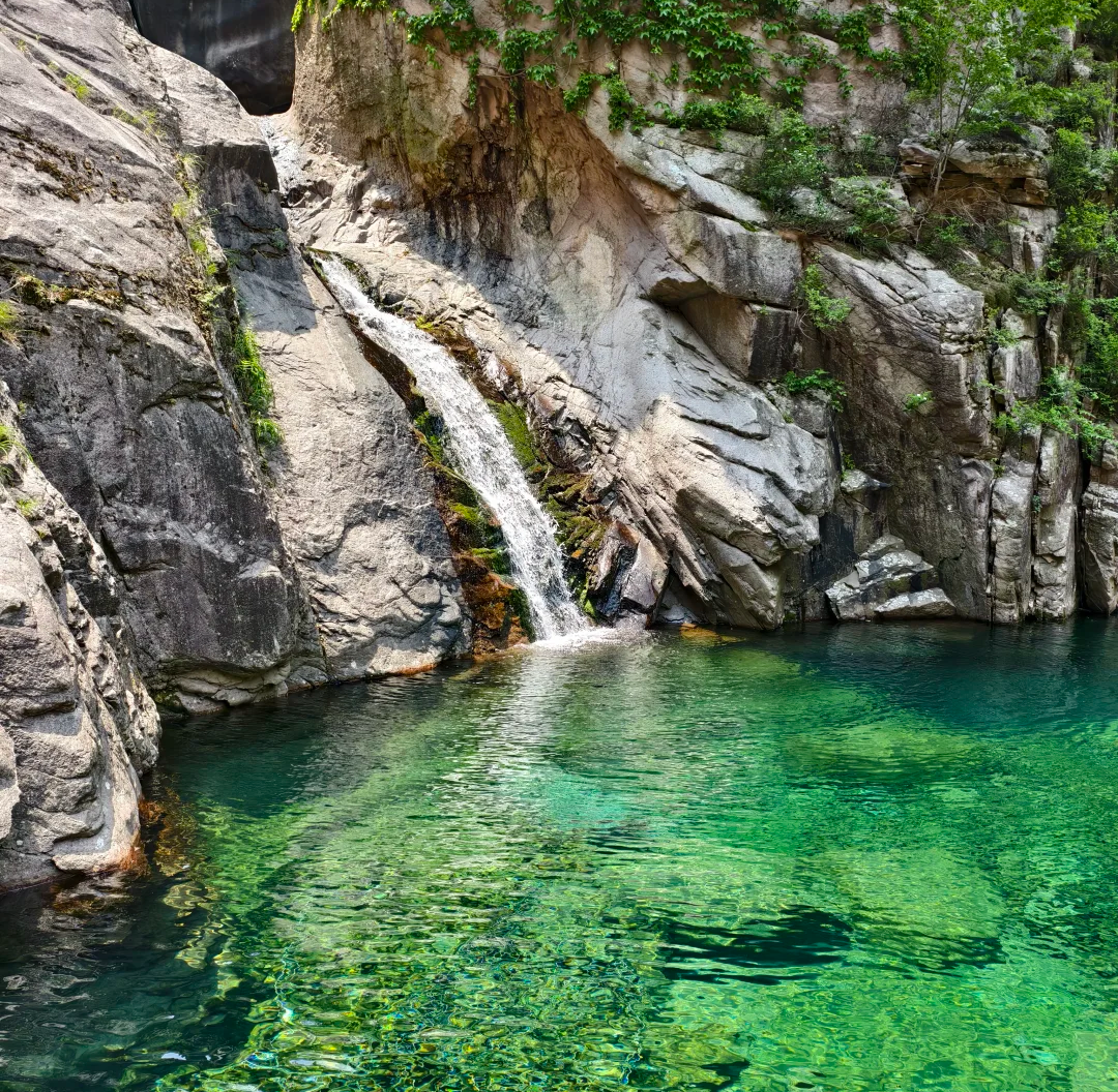 00000000RTpNIlsHoyZjqGQg