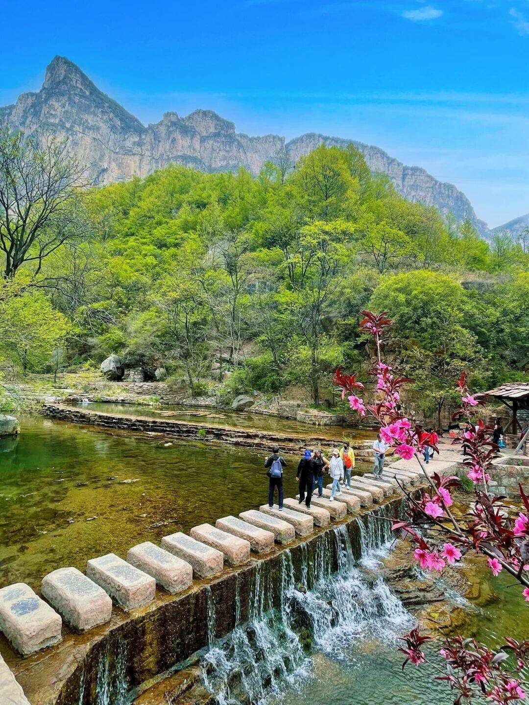 00000000TMJHkbeeOwNKUOvF