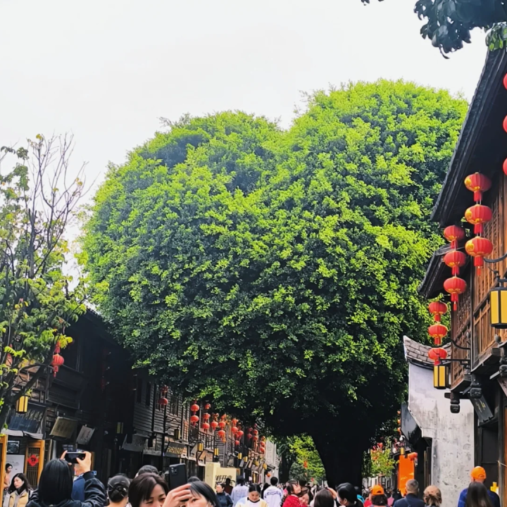 00000000TTYacEAoRAsVTdfO