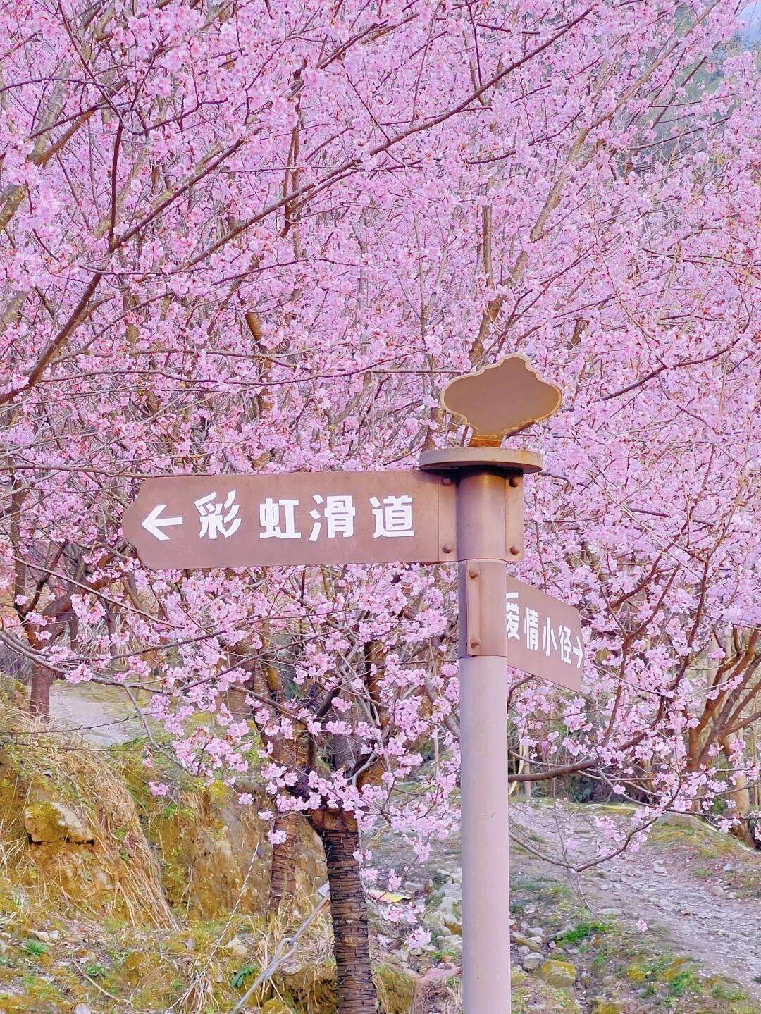 00000000UkBrFduUBzwNKVRE