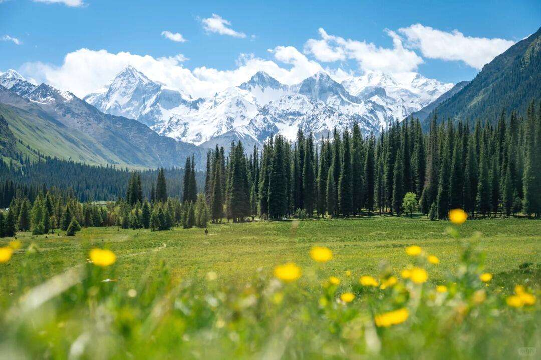 00000000VAnBEJOifCsFuYpd