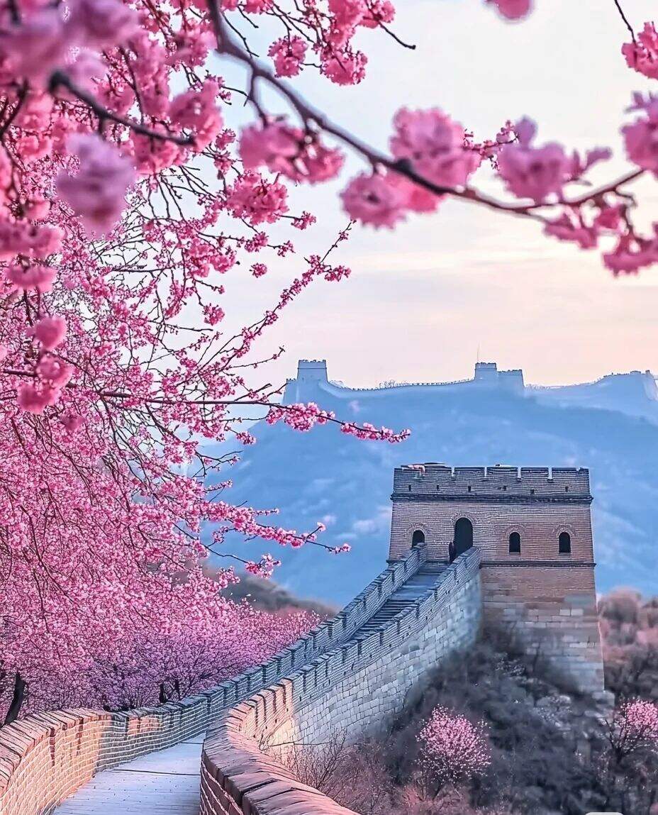 00000000VUYQsLgSzQFfxzLX